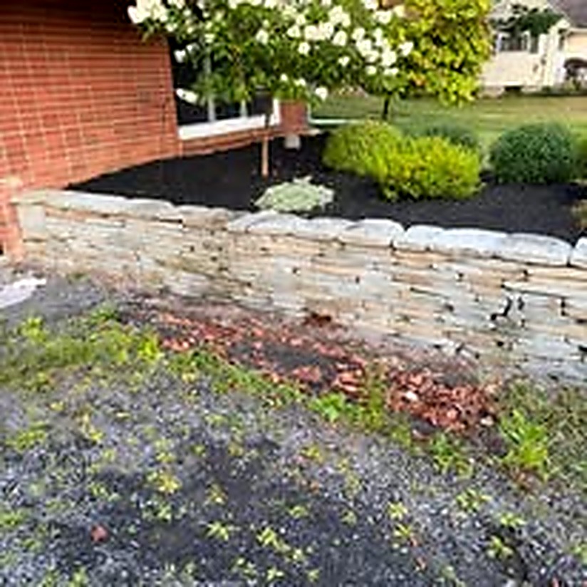 Clean landscape after outdoor junk removal