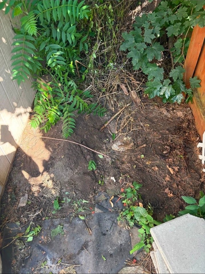 Yard cleared after outdoor debris removal