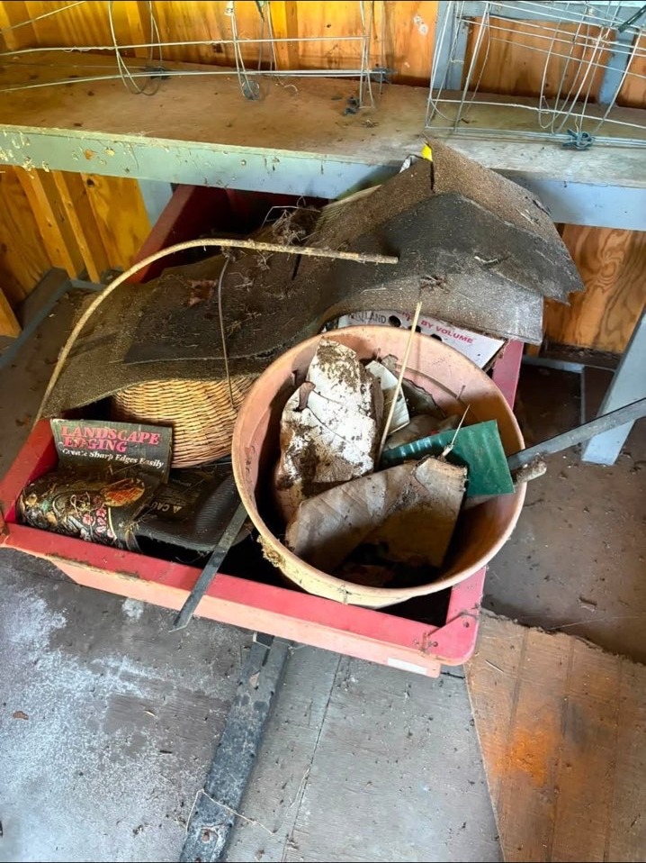 Interior shed or garage junk