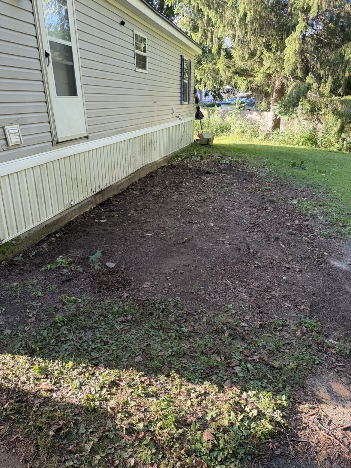 Clean driveway after junk removal