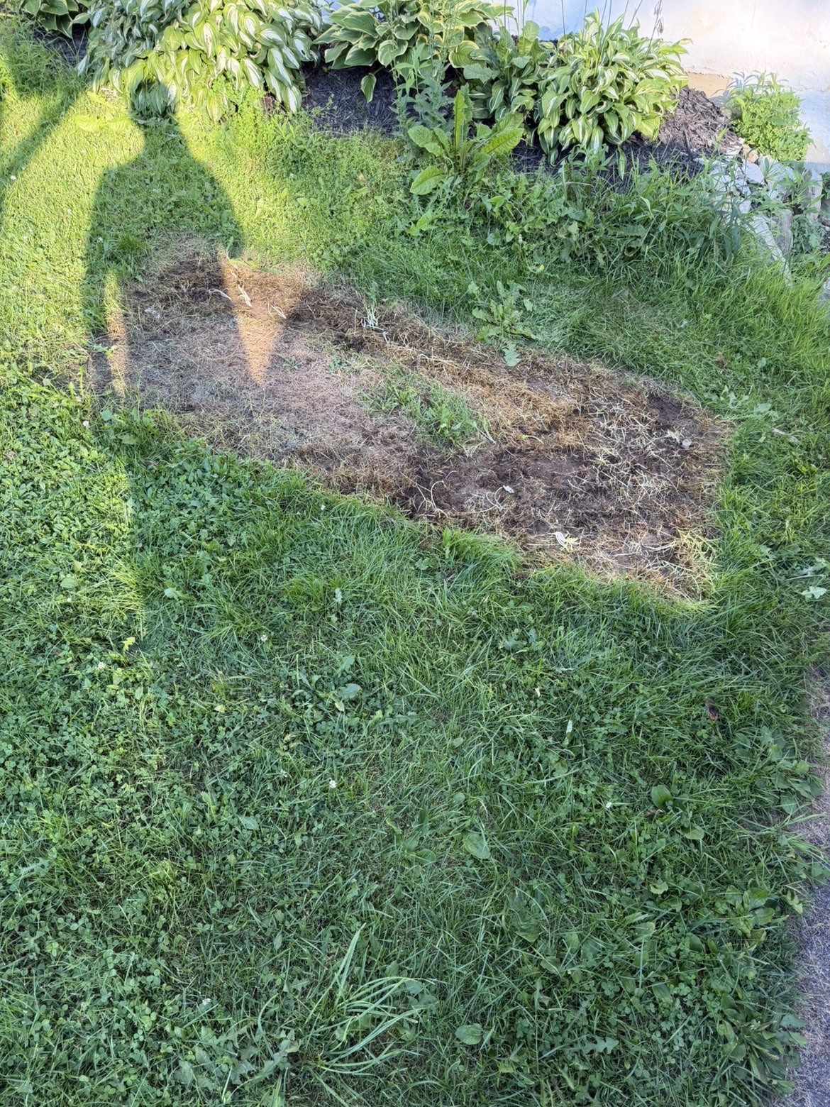 Yard cleared after outdoor debris removal